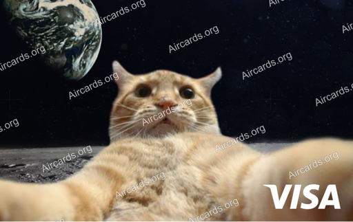 Cat — Duke · Kartenbild