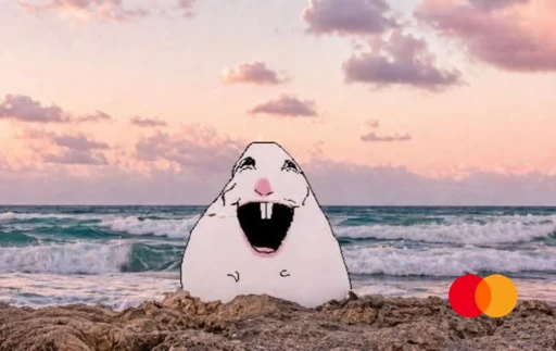 funny hamster