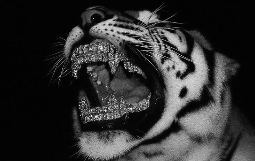 tiger — Ari Eden · Card artwork