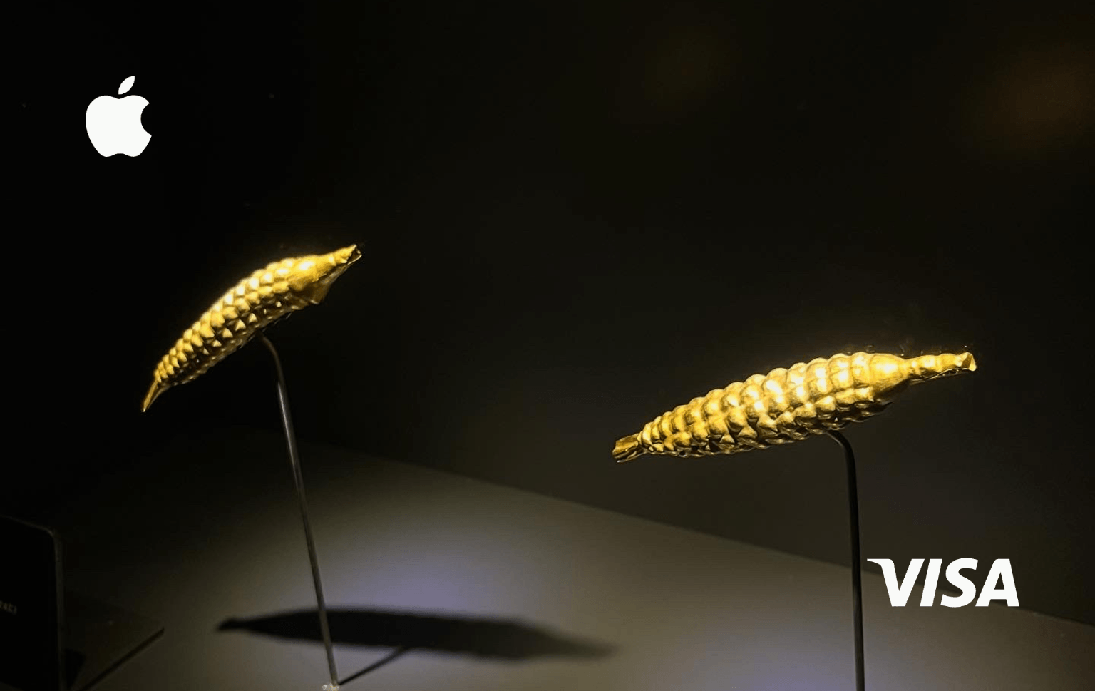 Mazorcas de Oro