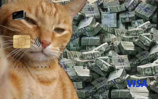 cat money meme