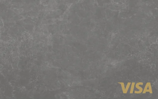 grey visa — Duke · 카드 이미지