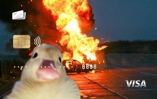 pato fuego meme fire duck meme