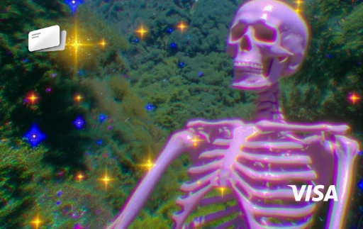 pink skeleton esqueleto rosa visa