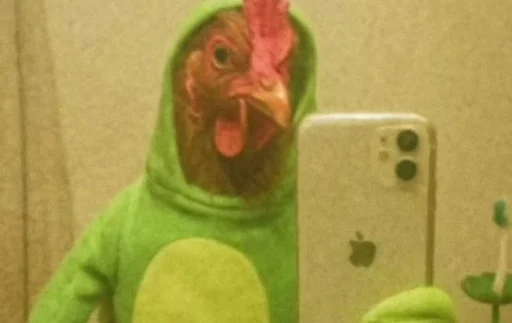 28373