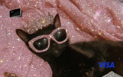 cute cat brillos shinny gato
