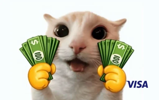 money cat 3 gato