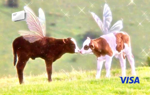 cute cows vacas hada fairy