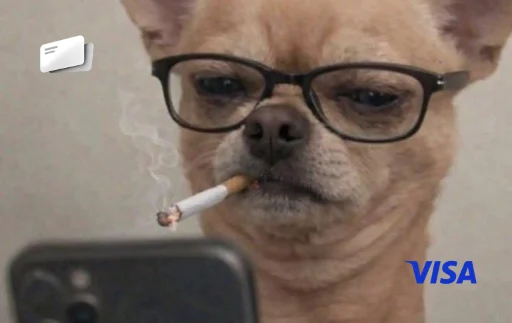 dog perro