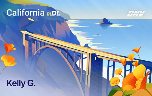 California Driver License